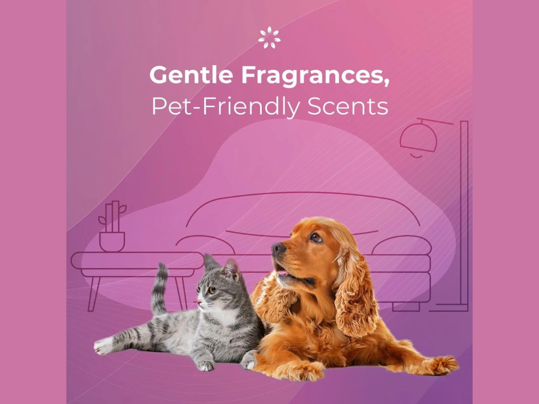 Dr.Scent Fragrance Diffuser DR DS Mini – Compact Black Scent Device Dr.Scent Fragrance Diffuser DR DS Mini – Compact Black Scent Device